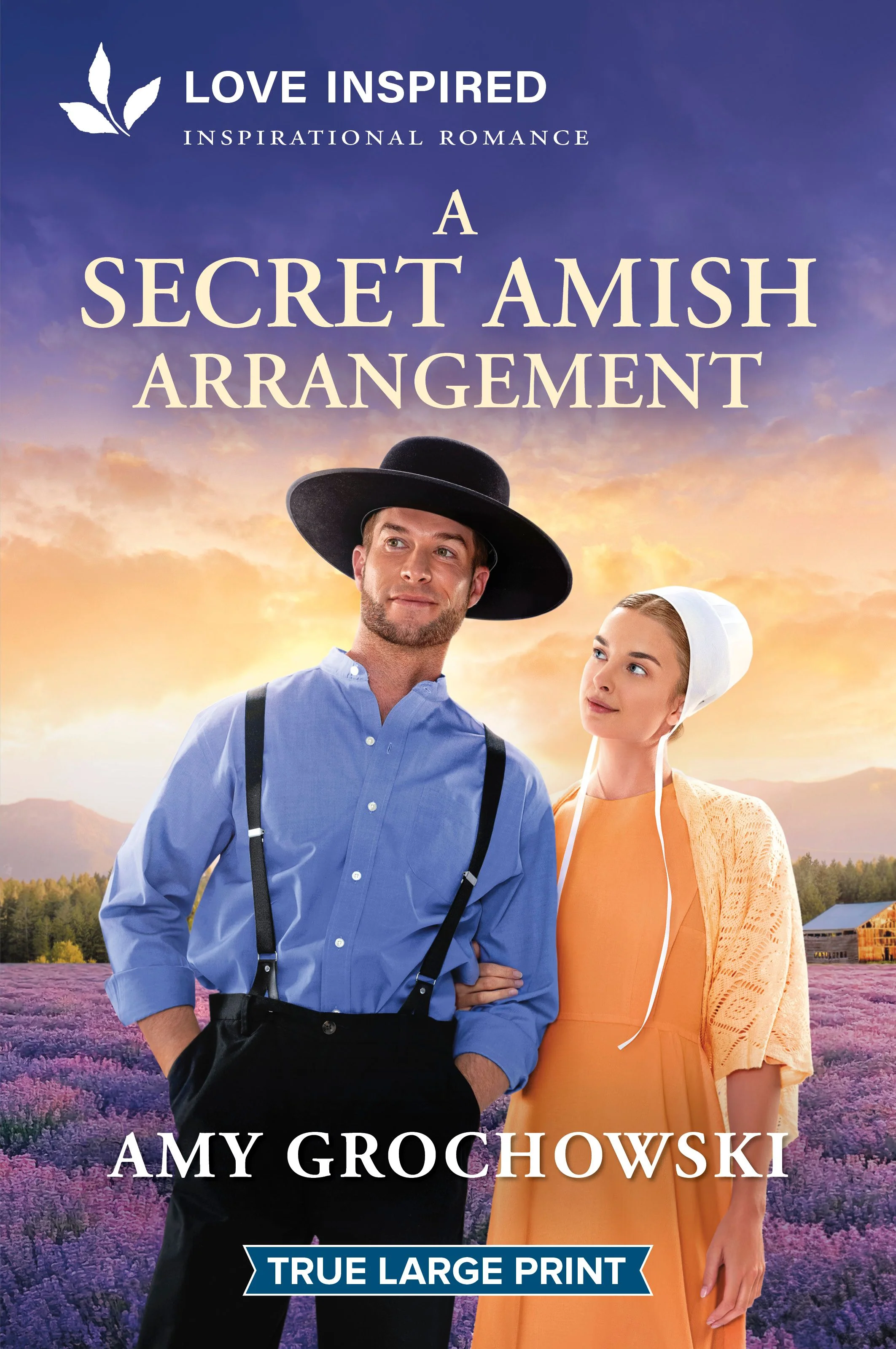 A Secret Amish Arrangement