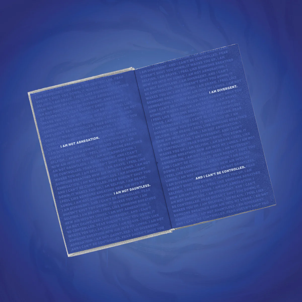 Divergent Deluxe Limited Edition - Image 5