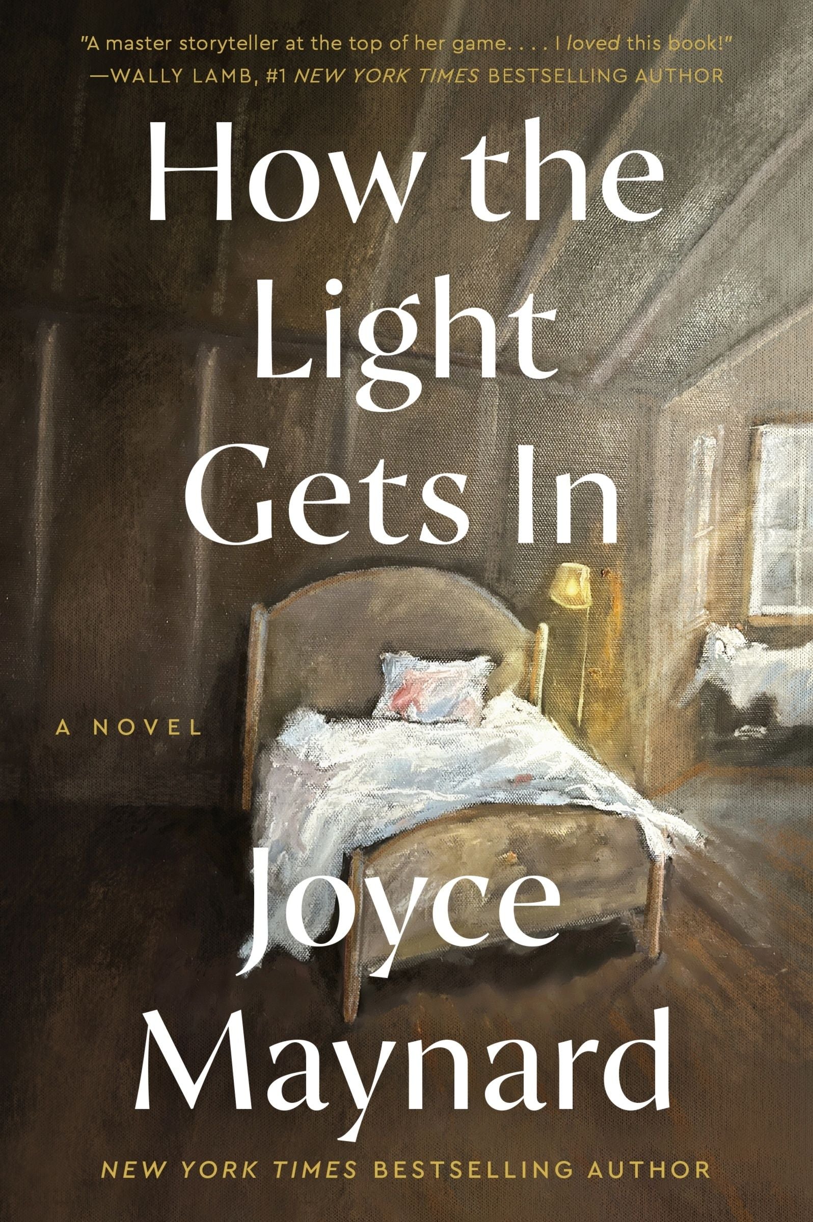 How the Light Gets In: A Novel