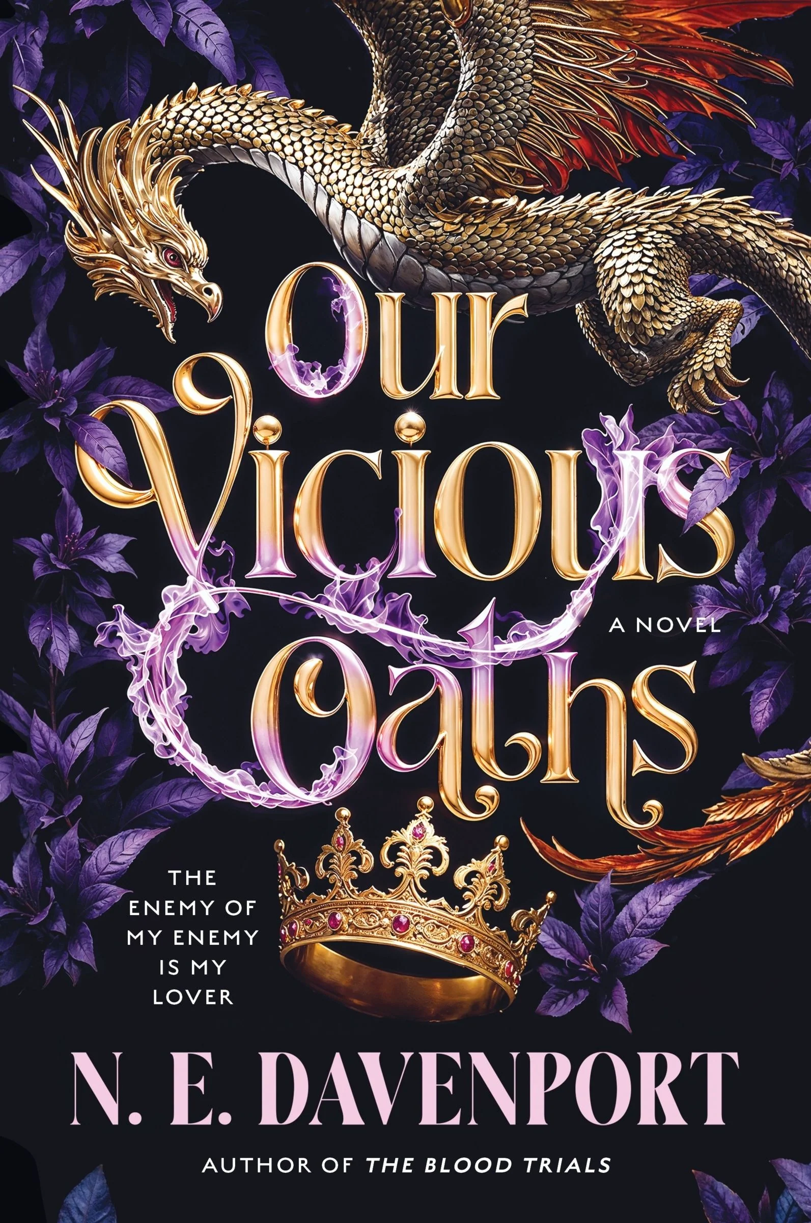 Our Vicious Oaths: A Novel