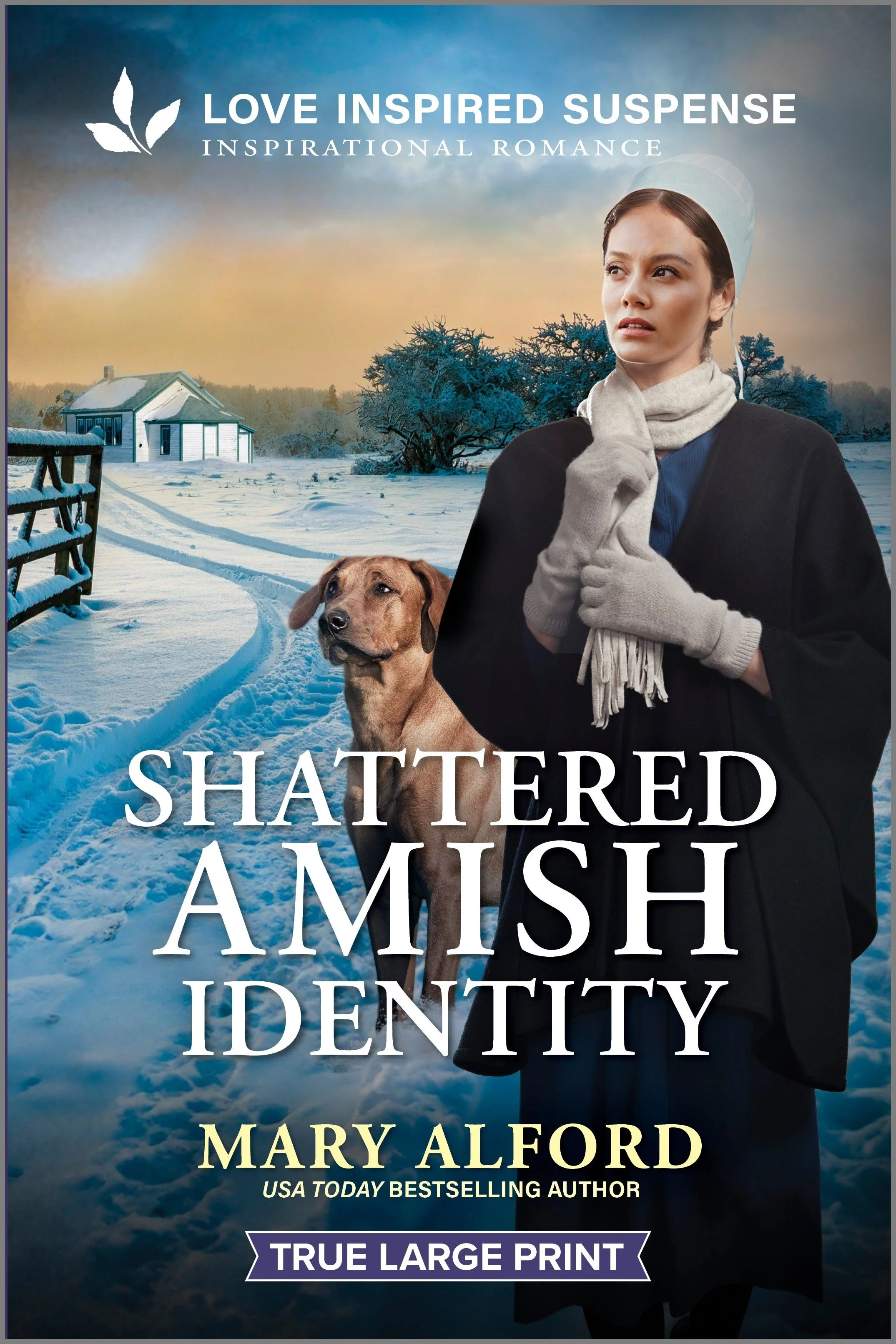 Shattered Amish Identity