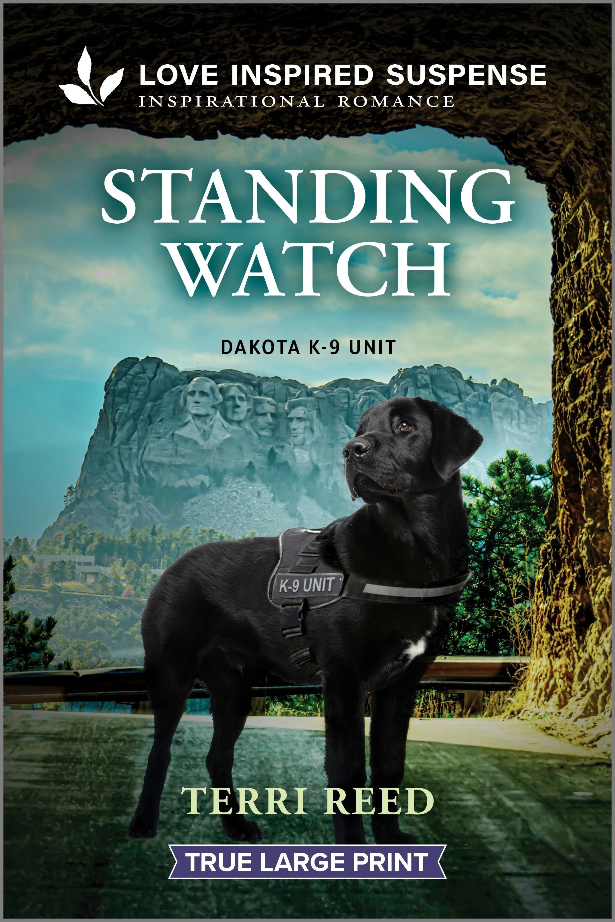Standing Watch