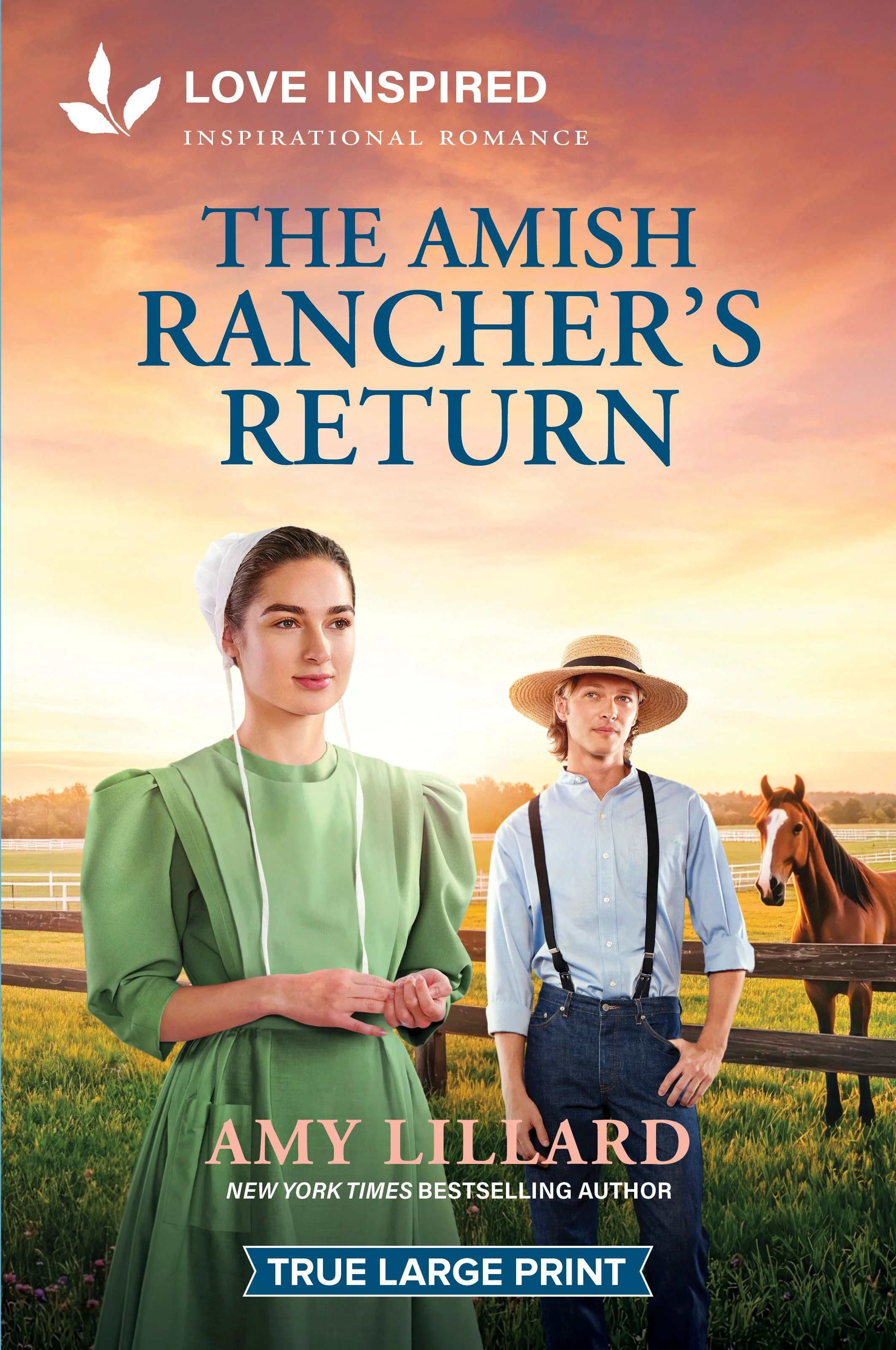 The Amish Rancher's Return