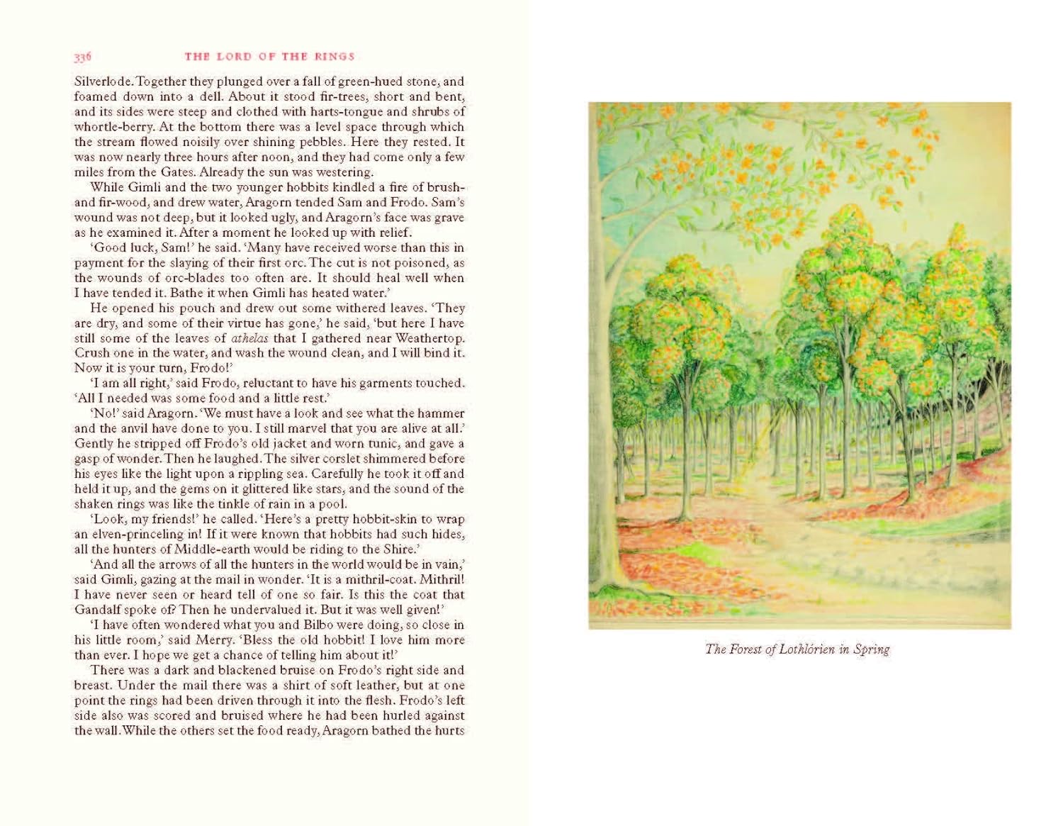 The Lord of the Rings Deluxe Illustrated by the Author: Special Edition - Image 9