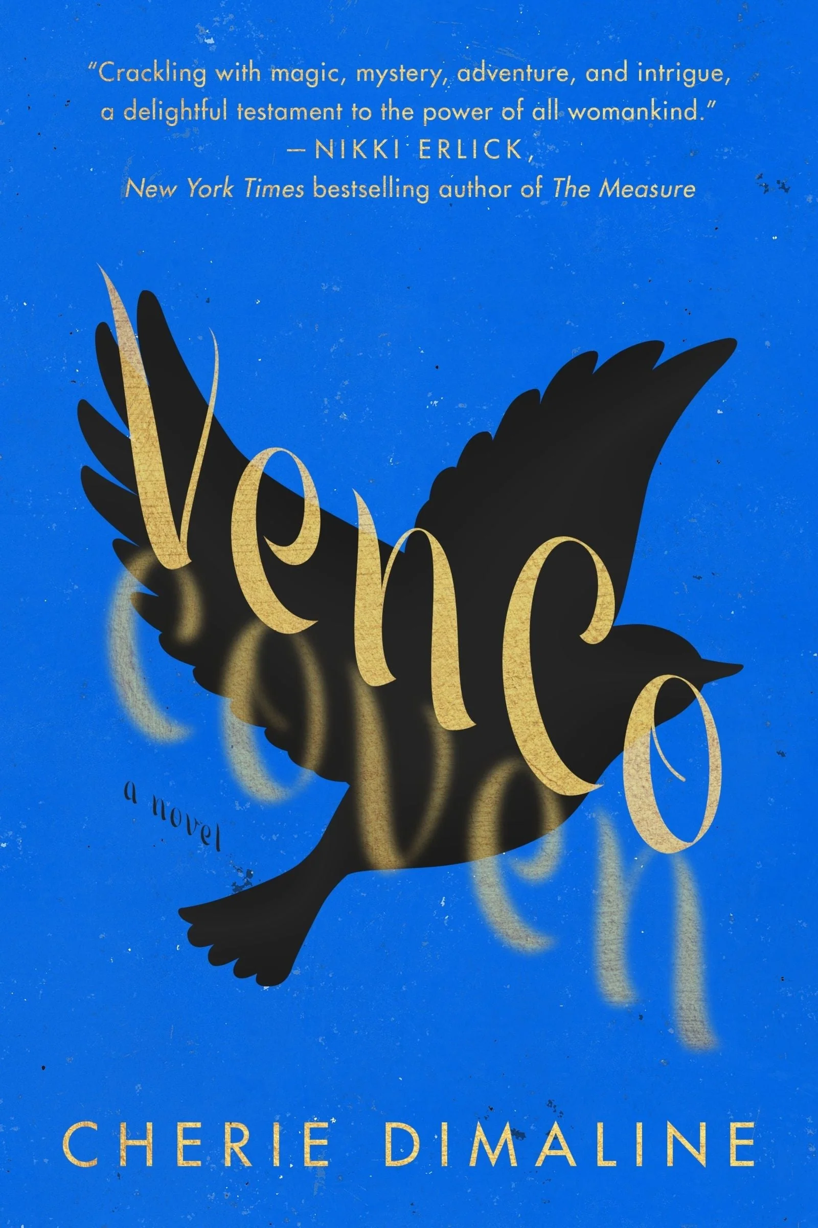 VenCo: A Novel - Image 2